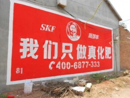 松阳刷墙广告”蕴含了时代命题