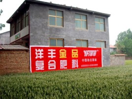 松阳如何让墙体广告展现最大化效果
