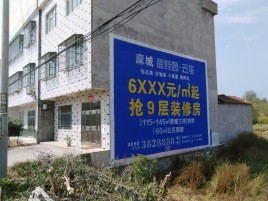 松阳墙体广告质量分析