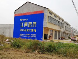 松阳农村墙体广告在不同形式上面展现的不同特色