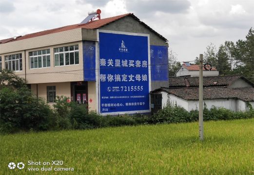 松阳决定墙体广告价格的因素有哪些?