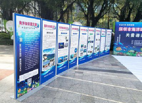 松阳KT板的种类和知识。